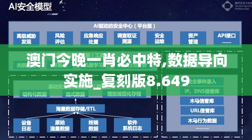 澳门今晚一肖必中特,数据导向实施_复刻版8.649