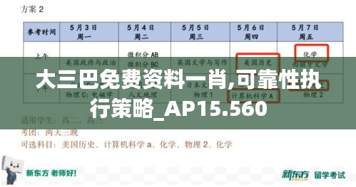 大三巴免费资料一肖,可靠性执行策略_AP15.560