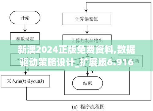 新澳2024正版免费资料,数据驱动策略设计_扩展版6.916