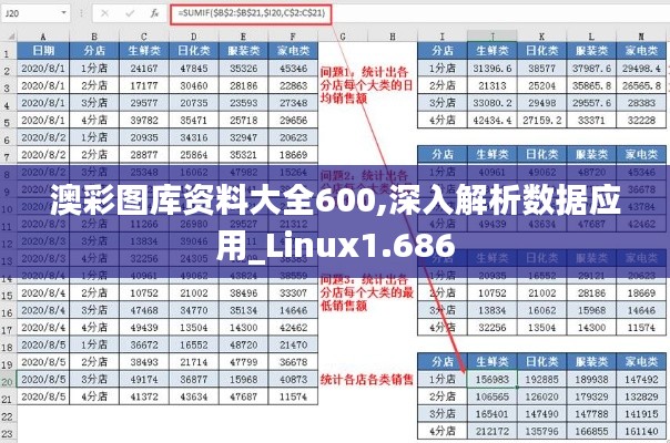 澳彩图库资料大全600,深入解析数据应用_Linux1.686