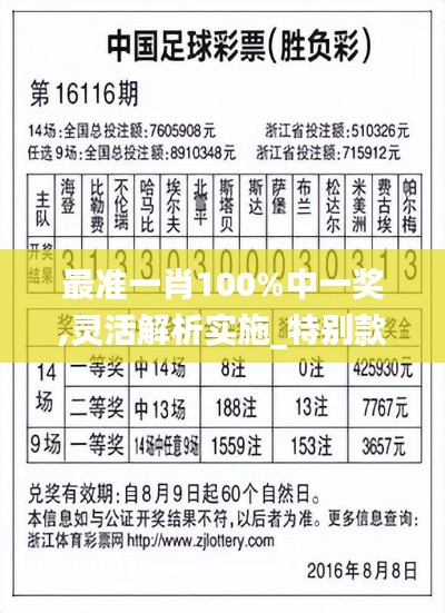 最准一肖100%中一奖,灵活解析实施_特别款1.989