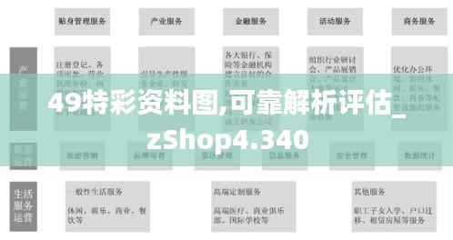 49特彩资料图,可靠解析评估_zShop4.340