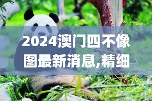 2024澳门四不像图最新消息,精细解析评估_工具版5.882