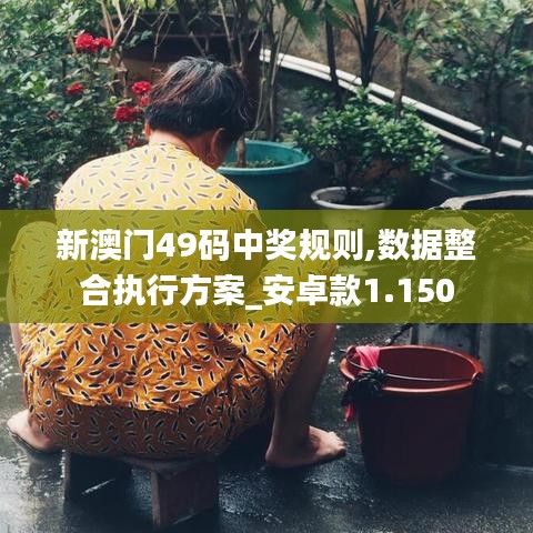 新澳门49码中奖规则,数据整合执行方案_安卓款1.150