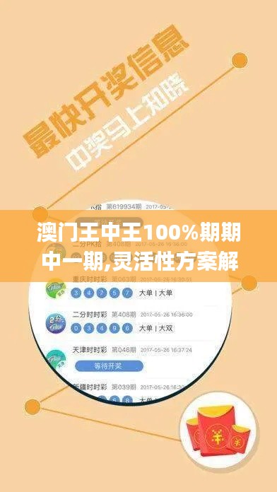 澳门王中王100%期期中一期,灵活性方案解析_vShop6.492