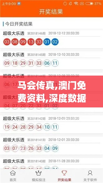 马会传真,澳门免费资料,深度数据应用策略_入门版1.467
