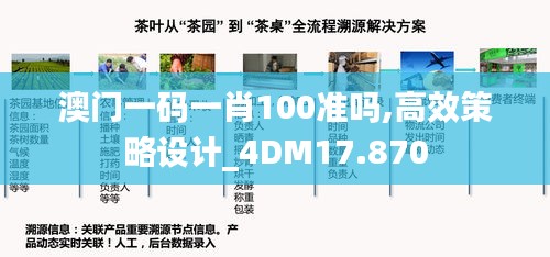 澳门一码一肖100准吗,高效策略设计_4DM17.870