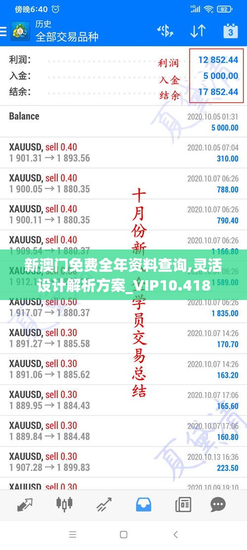 新澳门免费全年资料查询,灵活设计解析方案_VIP10.418