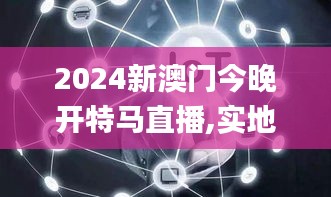 2024新澳门今晚开特马直播,实地分析数据执行_Notebook9.218