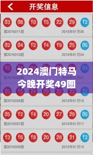 2024澳门特马今晚开奖49图片,专家意见解释定义_zShop7.475