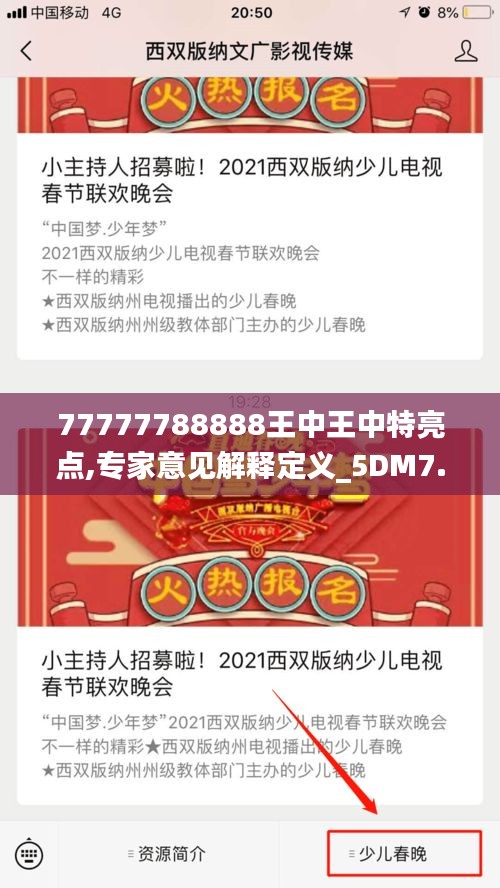 77777788888王中王中特亮点,专家意见解释定义_5DM7.706