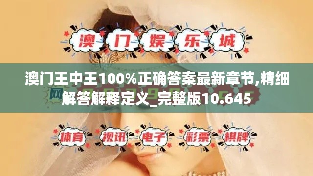 澳门王中王100%正确答案最新章节,精细解答解释定义_完整版10.645