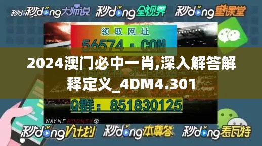 2024澳门必中一肖,深入解答解释定义_4DM4.301