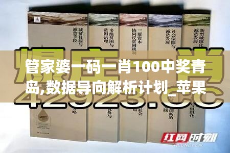 管家婆一码一肖100中奖青岛,数据导向解析计划_苹果款15.114