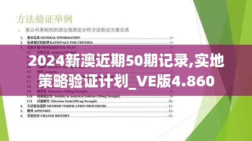 2024新澳近期50期记录,实地策略验证计划_VE版4.860