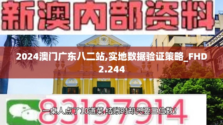 2024澳门广东八二站,实地数据验证策略_FHD2.244