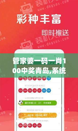 管家婆一码一肖100中奖青岛,系统化分析说明_战斗版9.691