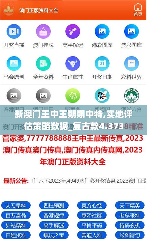 新澳门王中王期期中特,实地评估策略数据_复古款4.373