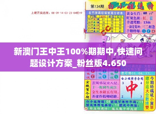 新澳门王中王100%期期中,快速问题设计方案_粉丝版4.650