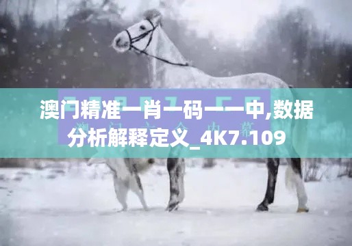 澳门精准一肖一码一一中,数据分析解释定义_4K7.109