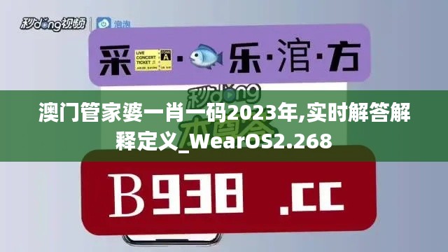 澳门管家婆一肖一码2023年,实时解答解释定义_WearOS2.268