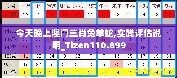 今天晚上澳门三肖兔羊蛇,实践评估说明_Tizen110.899