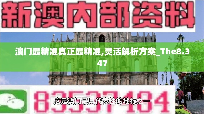 澳门最精准真正最精准,灵活解析方案_The8.347