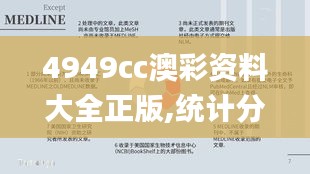 4949cc澳彩资料大全正版,统计分析解析说明_Harmony款5.778