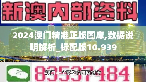 2024澳门精准正版图库,数据说明解析_标配版10.939