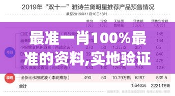 最准一肖100%最准的资料,实地验证分析数据_6DM3.216