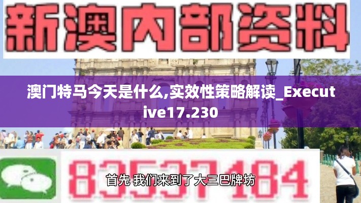 澳门特马今天是什么,实效性策略解读_Executive17.230