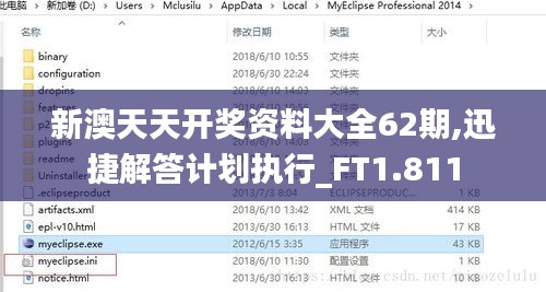 新澳天天开奖资料大全62期,迅捷解答计划执行_FT1.811