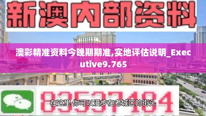 澳彩精准资料今晚期期准,实地评估说明_Executive9.765