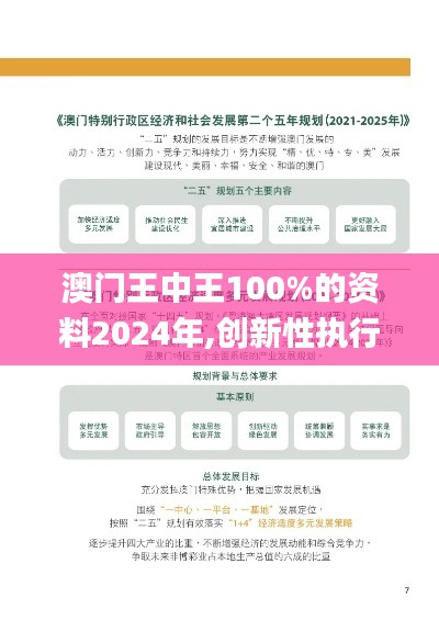 澳门王中王100%的资料2024年,创新性执行计划_DX版12.808