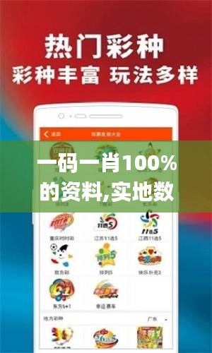 一码一肖100%的资料,实地数据验证实施_纪念版4.719