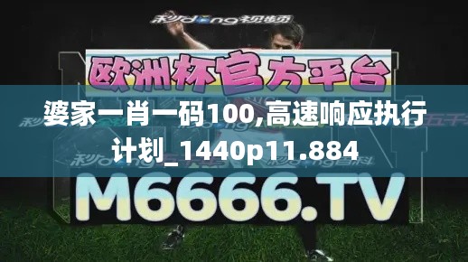 婆家一肖一码100,高速响应执行计划_1440p11.884