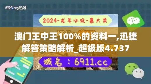 澳门王中王100%的资料一,迅捷解答策略解析_超级版4.737