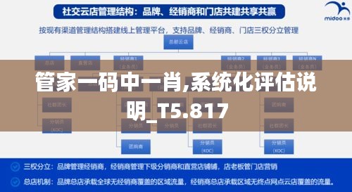 管家一码中一肖,系统化评估说明_T5.817