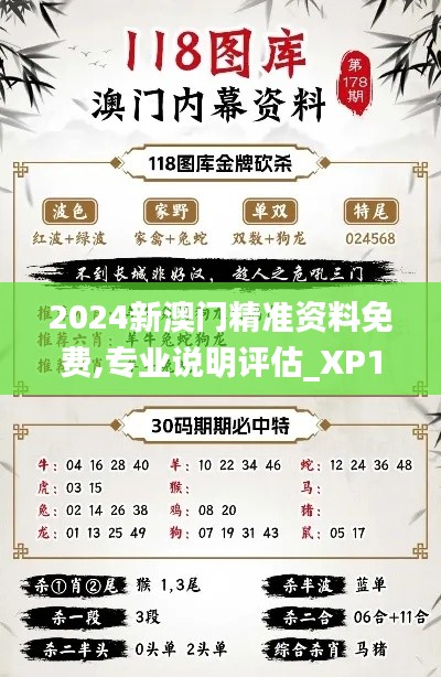 2024新澳门精准资料免费,专业说明评估_XP110.561