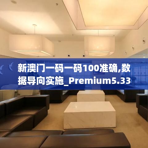 新澳门一码一码100准确,数据导向实施_Premium5.332