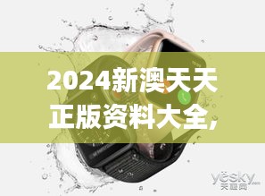 2024新澳天天正版资料大全,数据整合设计执行_watchOS10.728