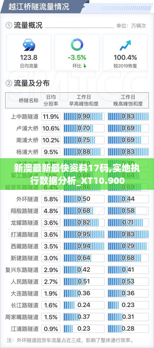 新澳最新最快资料17码,实地执行数据分析_XT10.900