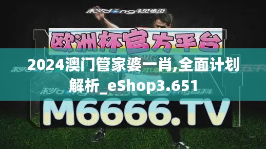 2024澳门管家婆一肖,全面计划解析_eShop3.651