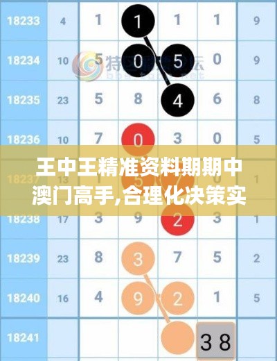 王中王精准资料期期中澳门高手,合理化决策实施评审_CT6.656