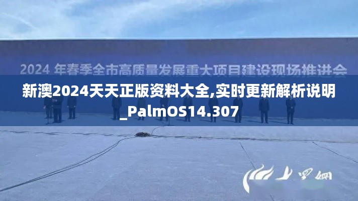 新澳2024天天正版资料大全,实时更新解析说明_PalmOS14.307