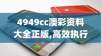 4949cc澳彩资料大全正版,高效执行计划设计_苹果5.569