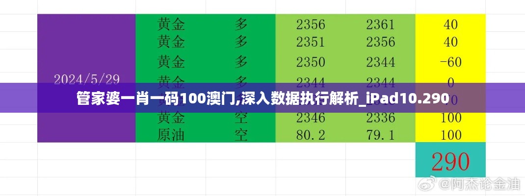 管家婆一肖一码100澳门,深入数据执行解析_iPad10.290