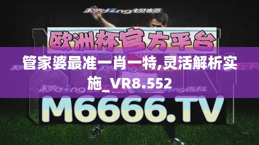 管家婆最准一肖一特,灵活解析实施_VR8.552