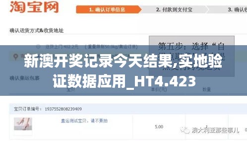 新澳开奖记录今天结果,实地验证数据应用_HT4.423