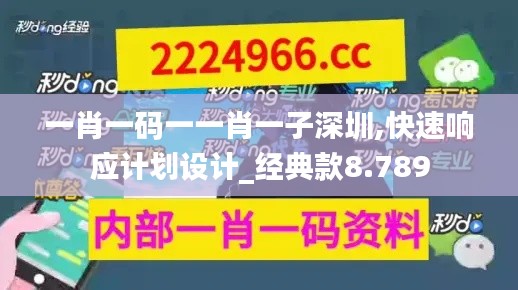 一肖一码一一肖一子深圳,快速响应计划设计_经典款8.789